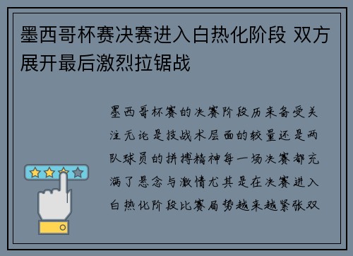 墨西哥杯赛决赛进入白热化阶段 双方展开最后激烈拉锯战